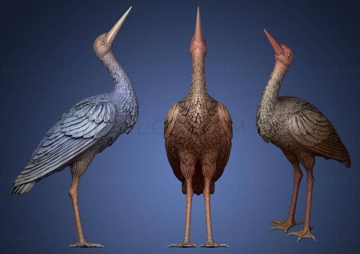 3D model stork looks up (STL)